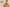 Comment laver son trench ?