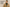 Est-il possible de porter un trench en hiver ?