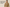 Qu'est-ce qu'un trench-coat homme ?