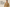 Quelle température pour porter un trench ?