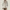 Blouson Homme Trench Court