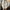 Blouson Homme Trench Court