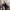 Blouson Homme Trench Court