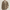 Caban Trench Court Homme