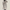Look Trench Beige Homme