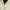 Manteau Beige Trench Coat Long Homme