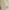 Manteau Beige Trench Coat Long Homme