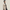 Manteau Trench Laine Homme