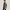 Manteau Trench Laine Homme