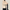 Style Trench Beige Homme