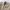 Trench Beige Cintré Homme