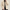Trench Beige Homme Chaud