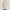 Trench Coat Homme Beige Léger