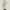 Trench Coat Homme Beige Léger