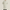 Trench Coat Homme Beige Léger