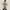Trench Coat Homme Laine Beige
