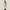 Trench Homme Beige Long