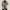Trench Homme Intérieur Laine