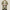Trench Manche Courte Homme