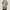 Trench Manche Courte Homme