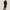 Veste Trench Laine Homme
